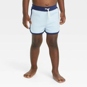 Toddler Boys' Swim Shorts Cat & Jack Blue 3T